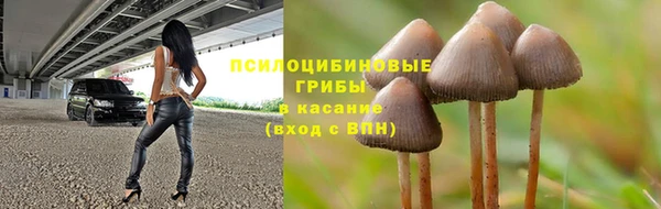 каннабис Баксан