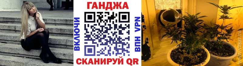 Бошки марихуана сатива  Волхов 